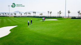 하이퐁 골프장 드래곤링크스cc 골프 클럽 예약 라운드플러스 : 라운드플러스