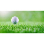 골프 스크린 연습장 필드 하늘 구름 초록 그린 자연 숲 golf 필드 용품 파르텔 벽지 시트지 롤스크린 : 으뜸데코