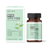 더건강드림 파이토 삼백초 추출물 600mg x 120정 : 더  건강드림
