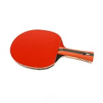 쉐이크 탁구라켓 V2.0 S 운동 스포츠 하드케이스 쇼핑몰 동호인 : 다캐A