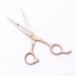 미용사용 가위 미용실 숱가위 헤어 골드 커팅 440C H9105 Jin C 5.5N : 세모숲