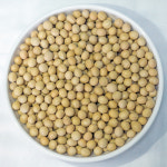 수입 백태 메주콩 콩국수용 두유콩 3kg, 1개 : 힘찬농부오달봉