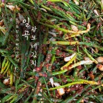일곡 광보네김치 전라도 광주 국내산 수제 어머니 손 맛 파 김치 500g : 일곡 광보네김치