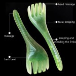 5 발톱 자오선 머리 마사지 빗 긴 손잡이 Gua Sha 바디 목 다리 스크레이퍼 휴대용 침술 포인트 프레스 도구 Pink : 바람숲소소해