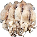 어부백서 원양산 선동 손질오징어 1kg (1팩 4~5미) 총알배송 : Dream어부 - 어부백서