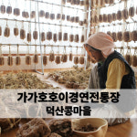 가가호호 전통장 재래식 항아리 장독대 간장 메주 국산콩 시원한 콩알맹이 발효된장1kg : 덕산콩마을