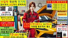 인젝터 교체 금액 클리너 클리닝 동와셔 크리닝 디젤 푸조 링컨 포르쉐 마세라티 괴산 옥천 : 자동차의 모든것 착한카