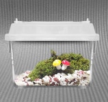 서리이끼 관찰학습 비라리움 비바리움 DIY 식물키우기 이끼키우기 반려식물 생이끼세트 : 식물미학