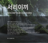 서리이끼 관찰학습 비라리움 비바리움 DIY 식물키우기 이끼키우기 반려식물 생이끼세트 : 식물미학