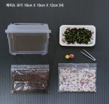 서리이끼 관찰학습 비라리움 비바리움 DIY 식물키우기 이끼키우기 반려식물 생이끼세트 : 식물미학