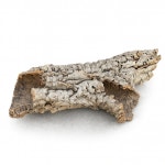 리얼 코르크튜브 대사이즈 가로 60cm내외 유목 : 뉴런렙타일