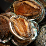 전복장 1kg 비리지 않은 밥도둑 국내산 활전복장 : 지성식품 본점