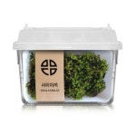 서리이끼 관찰학습 비라리움 비바리움 DIY 식물키우기 이끼키우기 반려식물 생이끼세트 : 식물미학