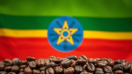 에티오피아 함벨라 내추럴 원두커피 200g / 베리 · 플로럴 향미 / 스페셜티 핸드드립 전용 : 커피러브스토리