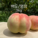 복숭아 백도 단단 딱복 고당도 달달 명장 3kg : 명성농장