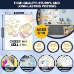 교실 고등학교용 장식용 과학 기기 터 12종 매트 적층 교육용 화학 11매 14인치 11 x 8.5 in : 원라이즈