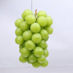 샤인머스켓 1kg 망고포도 고당도 씨없는 포도 애플 청포도 프리미엄 제철 명절 선물세트 : 블랙퀘스트 다이어트당뇨환자