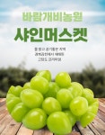 [바람개비 농원] 샤인머스켓 2kg, 경북김천 샤인머스켓 맛집 : 바람개비 농원