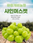 [바람개비 농원] 샤인머스켓 4kg 경북김천, 샤인머스켓 맛집 : 바람개비 농원