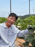 영암새싹농원 무화과 홍 청 신품종 : 영암새싹농원