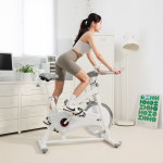 멜킨 스피닝 실내자전거 스핀바이크 헬스 사이클 가정용 홈트 운동기구 스탠다드 15kg : 멜킨스포츠