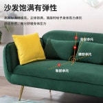 북유럽 조개소파벨벳 쇼파 2인용 대기의자 의류매장 80cm(네이티브스펀지)짙은녹색더치벨벳 : 레드썸머