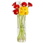 스플렌노 화병 유리 크다 투명 대 유리화병 플라워베이스 화기 실린더 원주 vase 30cm 세련 (12 × 30) : SKYFLAP