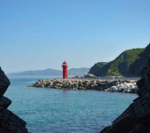 [역장투어-당일여행] 정동심곡 바다부채길 덕봉해안생태탐방로 동해안헌화로 정동진모래시계공원 : 역장투어