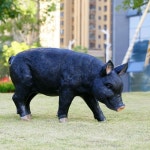 흑돼지 조각상 모형 장 흉상 토끼 야외 꾸미리 농장 대형/전용 서있는 가든 인형 미니백돼지 1쌍 길이 18cm 뉴 스몰 사이즈 돼지 한 쌍 길이... 