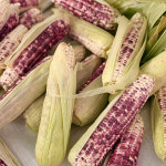 황버리농장 미흑찰옥수수 30개입 쫀득한 찰옥수수 당일수확 산지직송 : 황버리농장