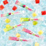 포켄스 얼려 먹는 펫샤베트 65g 강아지 간식 시원한 과일 디저트 : 포켄스 공식몰