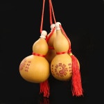 자연 건조 조롱박 병 홈 장식 매달려 장식 풍수 와인 조롱박 물병 뚜껑 공예 미술 컬렉션 사진 소품 : 수박7