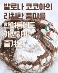 발로나 코코아 크링클 : 손수당