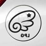 주유구스티커 천사날개 LPG 우측형 블랙 혼유예방 자동차부착스티커 : 시즌헬로
