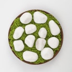 LOOOOJ 10파운드 화이트 리버 록, 식물을 위한 연마된 자갈, 정원, 1-2인치 장식 돌, 어항, 꽃병, 공예, 조경에 이상적입니다 (무게 10파운드... 