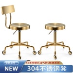 이동식 의자 실 헤어샵 이발소 메이크업 다리 고양이 회전의자 체어 바퀴달린 1 징고정형 실버스테인리스의자  1  징고정형 실버스테인리스의자... 