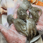 복가득 쭈꾸미 해신탕 1세트 초복 중복 말복 보신탕 보양탕 : 차박푸드