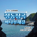 [역장투어-당일여행] 정동심곡 바다부채길 덕봉해안생태탐방로 동해안헌화로 정동진모래시계공원 : 역장투어