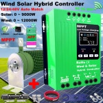 12V 24V 48V 충전 풍력 터빈용 3000W MPPT 납산 배터리 WIFI 태양광 : 투유원