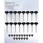 크루즈 2011 2018용 1 8L 엔진 흡기 및 배기 밸브 키트 장착... 55569449 1334213343 IV1756 8 EV1756 VSS680 16 교체 : 글로벌넥스트