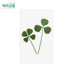 [럭키심볼] 행운의 네잎클로버생화+행복의 세잎클로버 더블 코팅카드+하트크라프트봉투+크라프트메세지카드 : 주식회사 럭키심볼