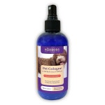 하버의 펫 쾰른(에버그린 브리즈) : 엘엘루이샵