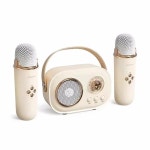 Karaoke Portable Wireless Bluetooth Sker with Microphone FM Radio Mini Sound Box Music Player Small : 주말의 여유 상점3