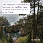 하버의 펫 쾰른(에버그린 브리즈) : 엘엘루이샵