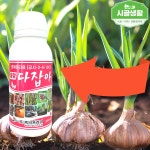 유황 다잡아 300ml 중앙프라자 고추 마늘 상추 양파 오이 인삼 파 비료 : 시골생활
