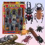 곤충 월드 12종 장수풍뎅이 사슴벌레 피규어 유아 어린이 학습 놀이 관찰 돋보기 장난감 : 쥐뱅마켓