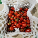 산지직송 국내산 대추방울토마토 1kg 2kg 3kg 당일수확 : 시골사위