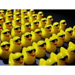 50/100PCS 안경과 노란색 오리 미니 수지 조경 장식 요정 정원 액세서리 type2 100PC : 니우니오