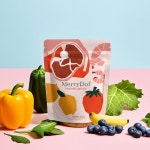 메리도프 반려견 신장 수제 화식 노견 습식 사료 않먹는 강아지 50g x 20개 : 메리도프