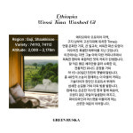 그린루스카 커피원두 에티오피아 웨시 티마 워시드 홀빈 500g, 1개 : 그린루스카 로스터스
